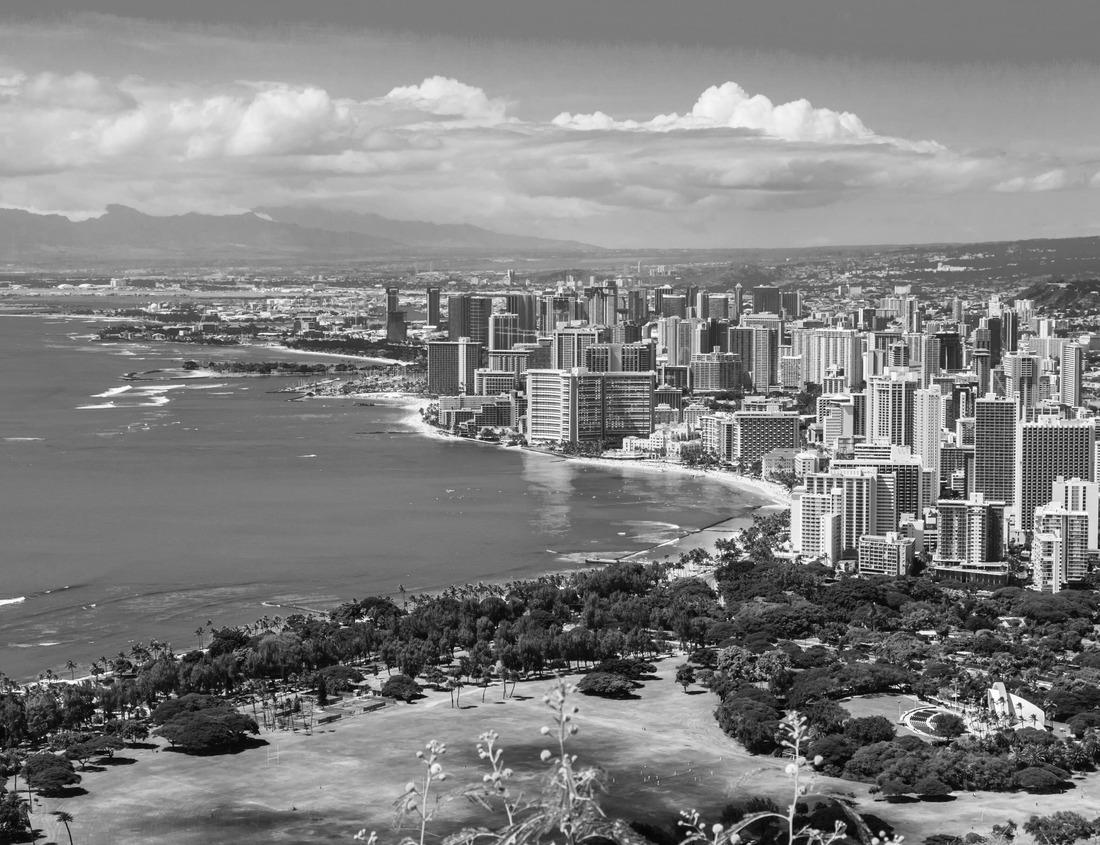 Noah Jigsaw Puzzle Green Bay Wisconsin skyline at night in black white 1000 pieces