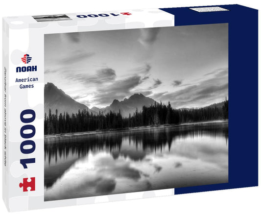 Noah Jigsaw Puzzle Zanzibar from above in black white 1000 pieces