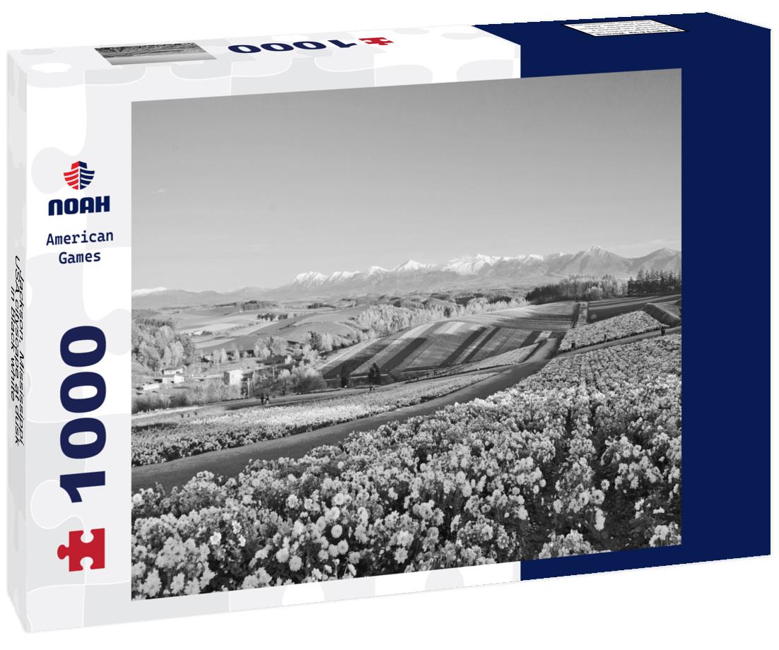 Noah Jigsaw Puzzle Jackson, Mississippi, USA cityscape at dusk in black white 1000 pieces