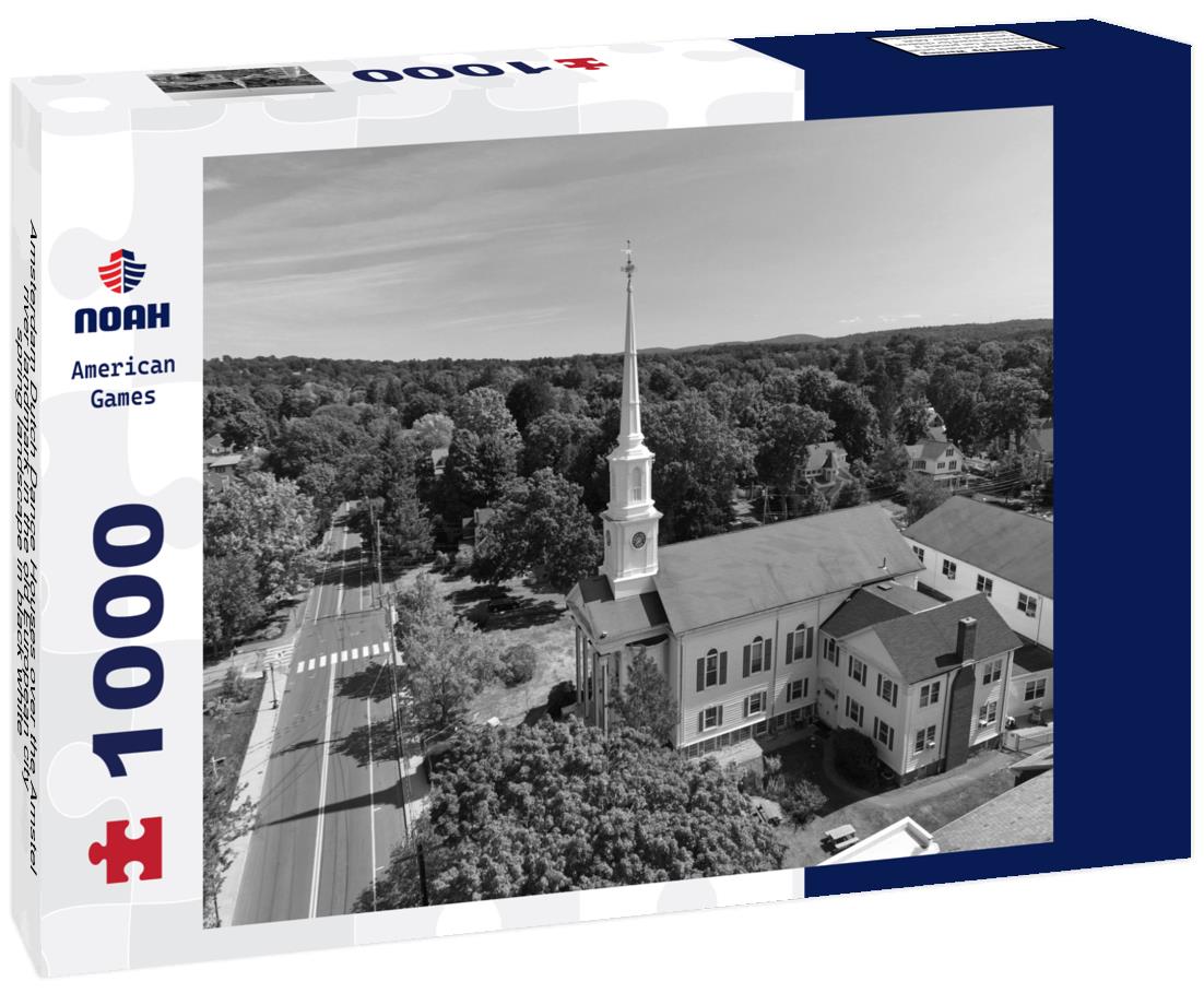 Noah Jigsaw Puzzle Amsterdam Dutch Dance Houses over the Amstel river landmark in the old European city spring landscape in black white 1000 pieces