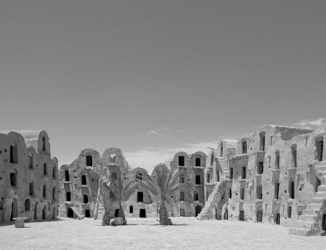 Noah Jigsaw Puzzle Beautiful harbor view with reflections, Victoria, Vancouver Island, BC, Canada in black white 1000 pieces