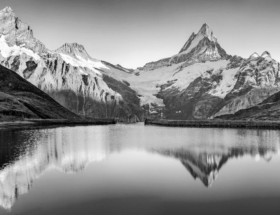 Noah Jigsaw Puzzle Gorgeous Sunset over a South Australian vineyard in black white 1000 pieces