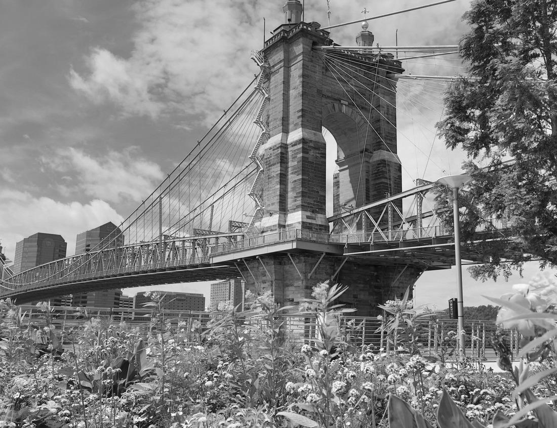Noah Jigsaw Puzzle Athens, Georgia, USA downtown cityscape in black white 1000 pieces