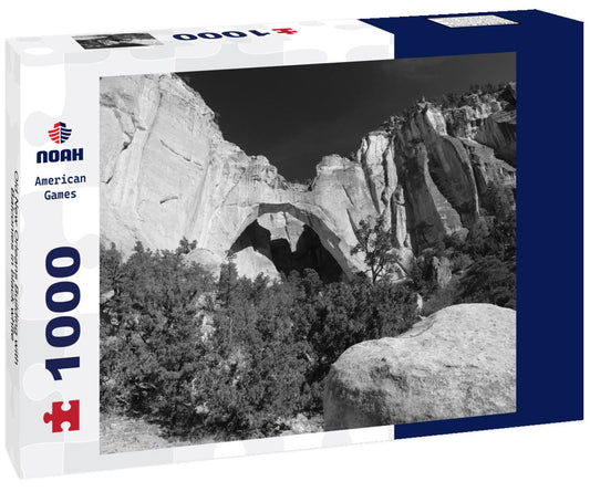 Noah Jigsaw Puzzle Old New Orleans Building with Balconies in black white 1000 pieces