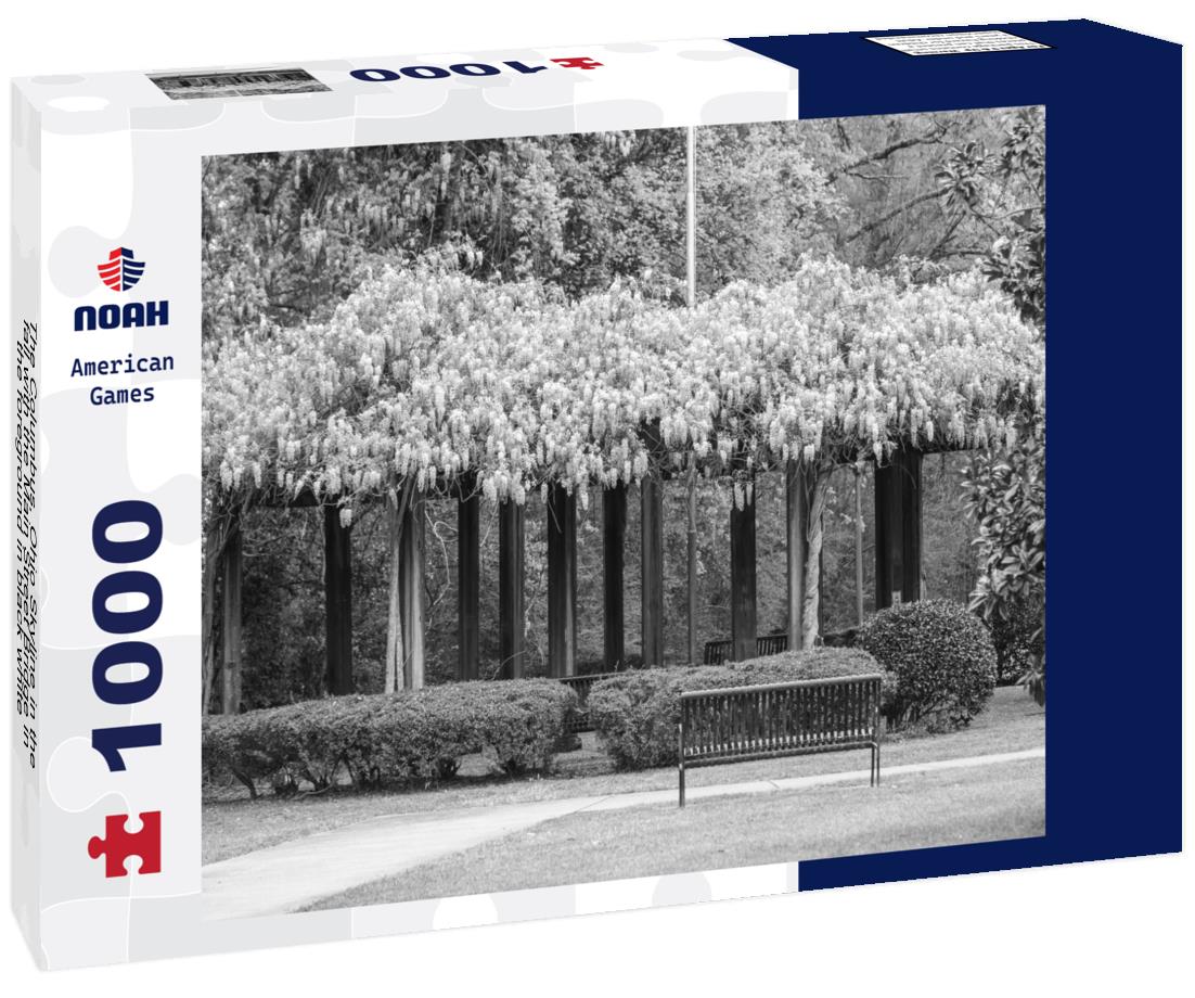 Noah Jigsaw Puzzle The Columbus, Ohio Skyline in the fall with the Main Street Bridge in the foreground in black white 1000 pieces