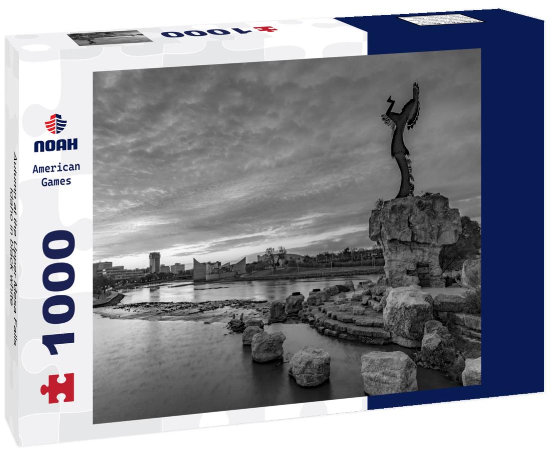 Noah Jigsaw Puzzle Autumn at the Upper Mesa Falls Idaho in black white 1000 pieces