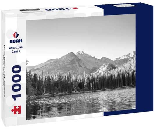 Noah Jigsaw Puzzle Miami, Florida, USA Downtown City in black white 1000 pieces