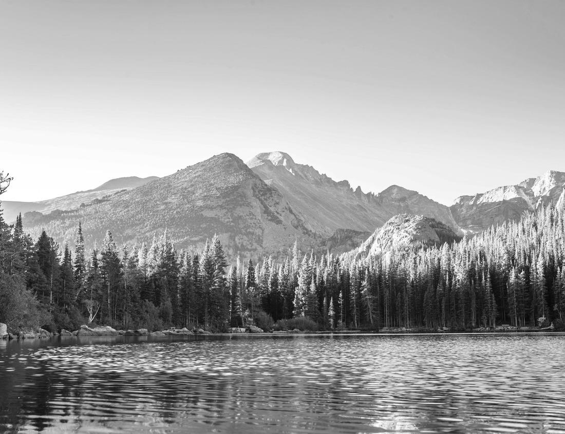 Noah Jigsaw Puzzle Miami, Florida, USA Downtown City in black white 1000 pieces