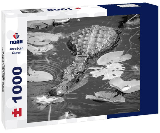 Noah Jigsaw Puzzle Szczecin - A bird's eye view of the old town. Old town, castle and basilica in Szczecin in black white 1000 pieces