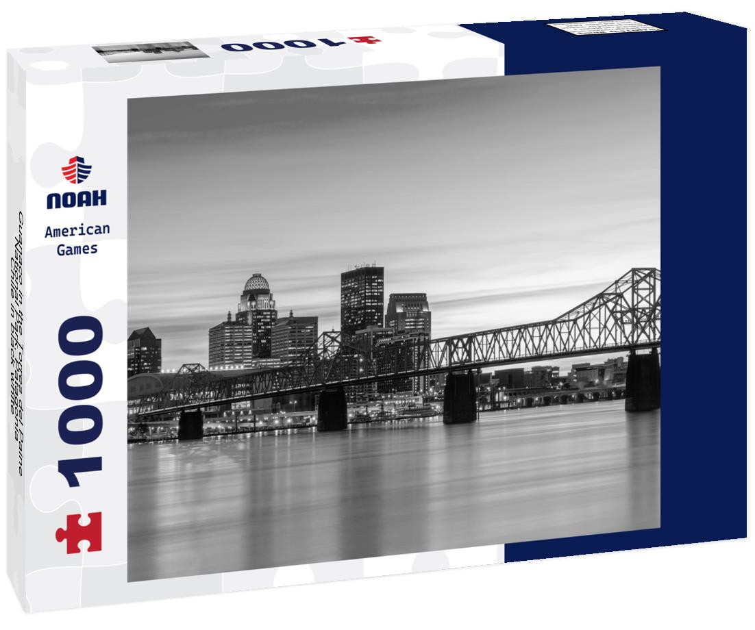 Noah Jigsaw Puzzle Guanaco in the Torres del Paine National Park, Patagonia, Chile in black white 1000 pieces