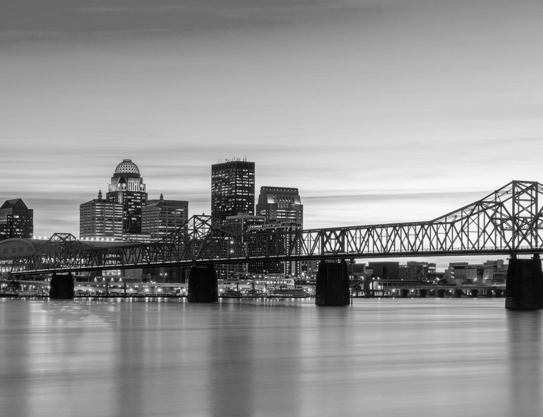 Noah Jigsaw Puzzle Guanaco in the Torres del Paine National Park, Patagonia, Chile in black white 1000 pieces