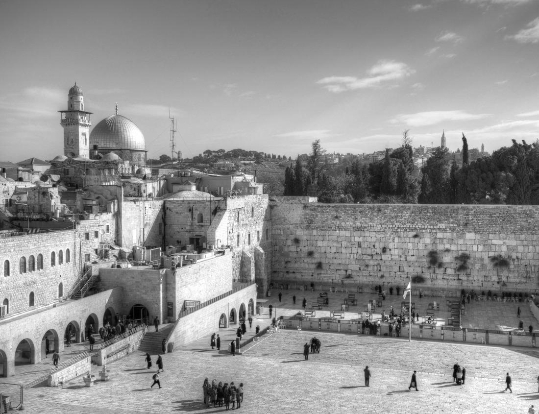 Noah Jigsaw Puzzle Nashvile Skyline in black white 1000 pieces