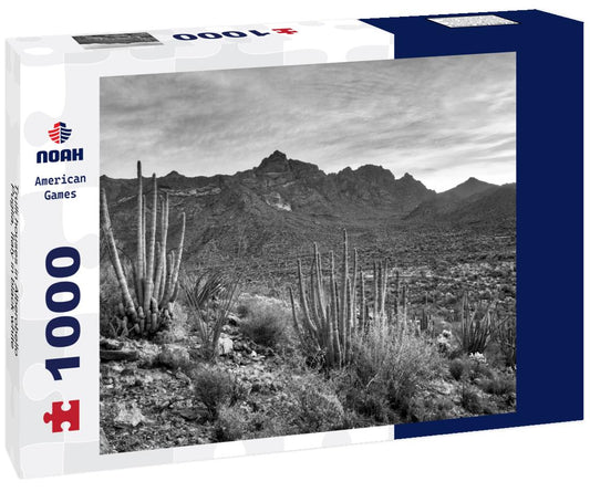 Noah Jigsaw Puzzle Trulli houses in Alberobello, Puglia, Italy in black white 1000 pieces