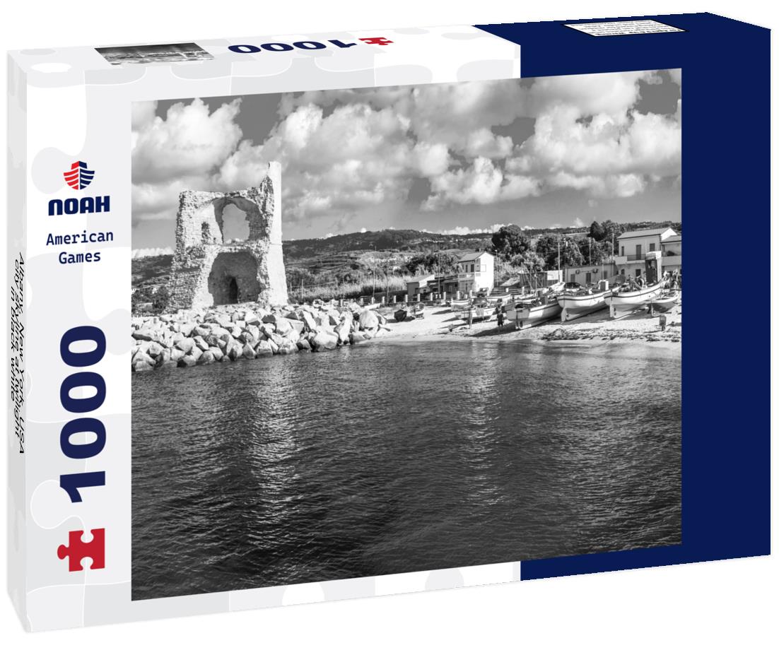 Noah Jigsaw Puzzle Albany, New York, USA city skyline at twilight in black white 1000 pieces