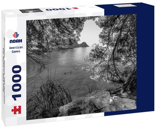 Noah Jigsaw Puzzle Birmingham, Alabama, USA Downtown City Skyline in black white 1000 pieces