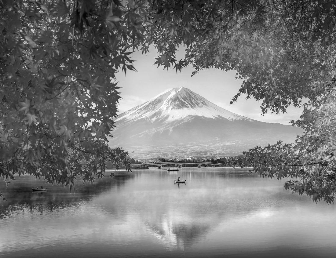 Noah Jigsaw Puzzle New Orleans, Louisiana downtown city skyline at twilight in black white 1000 pieces