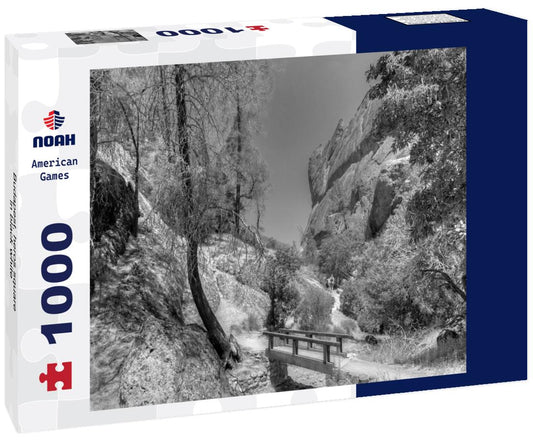 Noah Jigsaw Puzzle Budapest, heros square in black white 1000 pieces