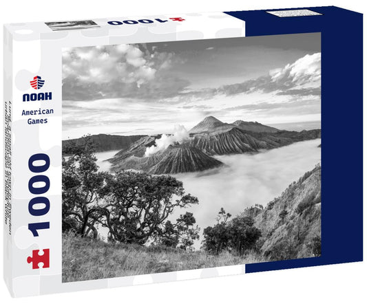 Noah Jigsaw Puzzle Lund, a small old town in Sweden, Scandinavian architecture, urban landscape in black white 1000 pieces