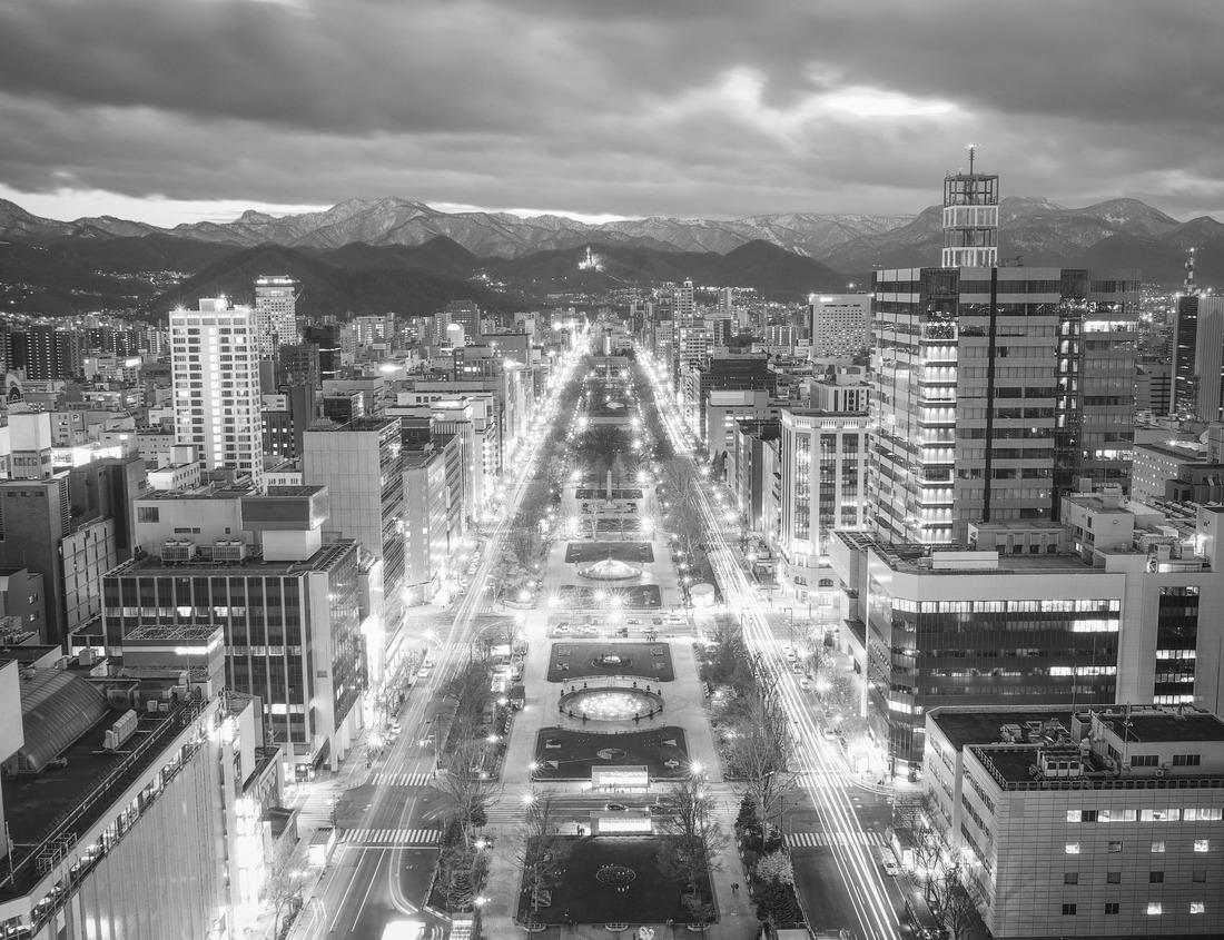 Noah Jigsaw Puzzle Landskrona Town hall. Radhuset. Sweden in black white 1000 pieces