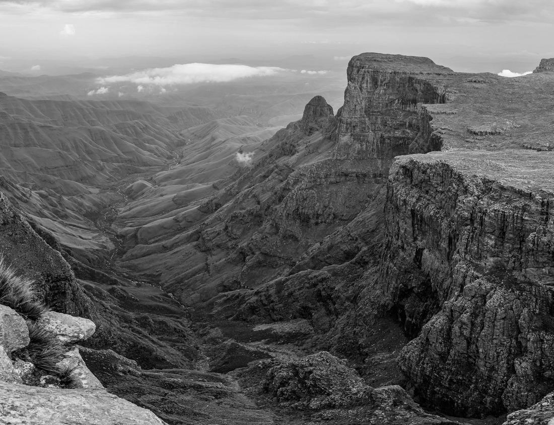 Noah Jigsaw Puzzle New Orleans, Louisiana, USA at the Crescent City Connection Bridge in black white 1000 pieces