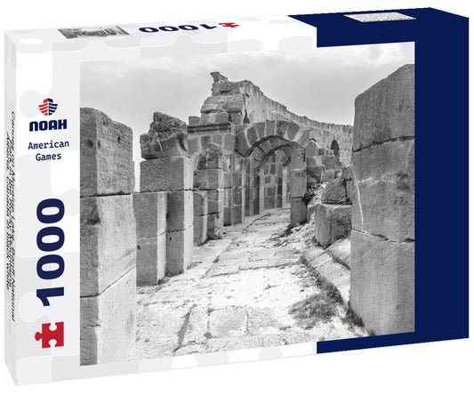 Noah Jigsaw Puzzle Canoes on Moraine Lake, Banff National Park in the Rocky Mountains, Alberta, Canada in black white 1000 pieces