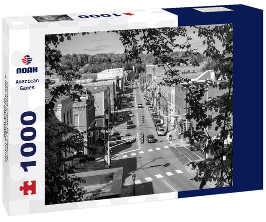 Noah Jigsaw Puzzle Coconut Creek FL: View of a lake and surrounding homes in black white 1000 pieces