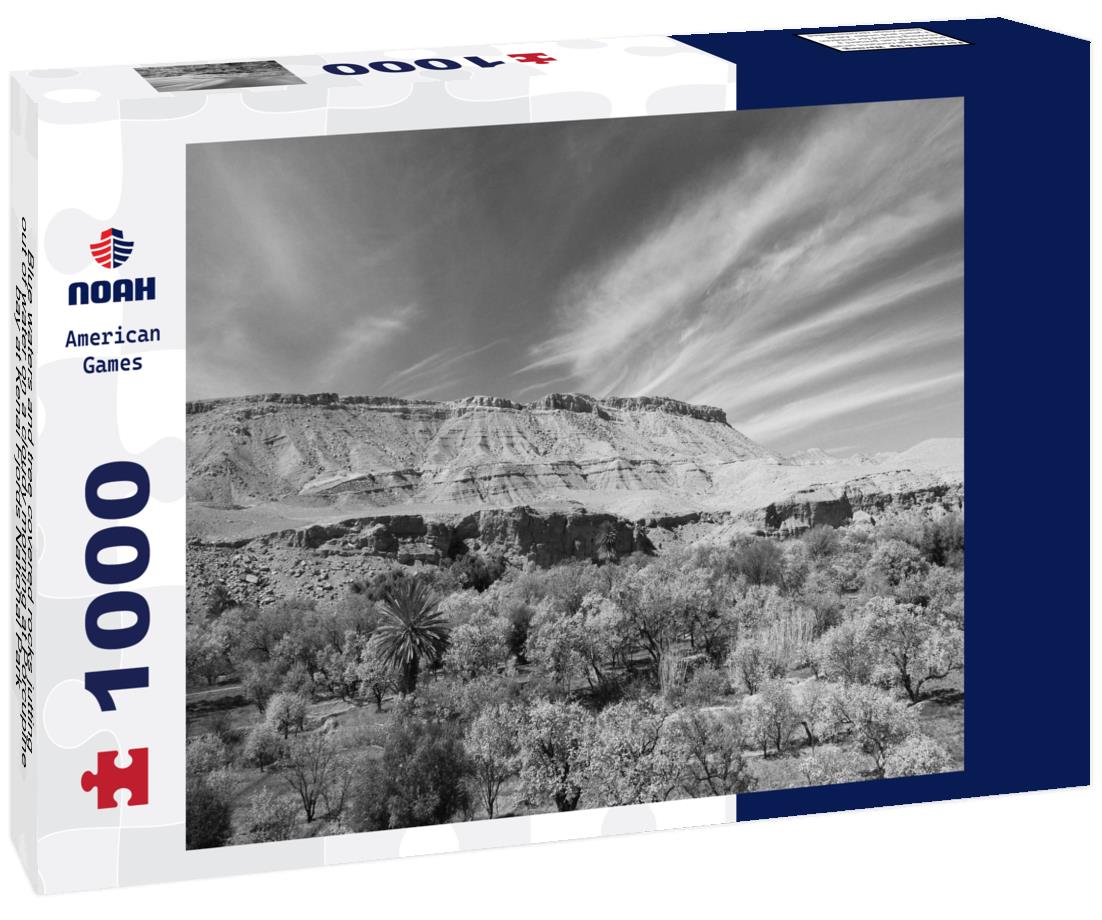 Noah Jigsaw Puzzle Blue waters and tree covered rocks jutting out of water on a cloudy morning at Porcupine bay at Kenai Fjords National Park, Alaska in black white 1000 pieces