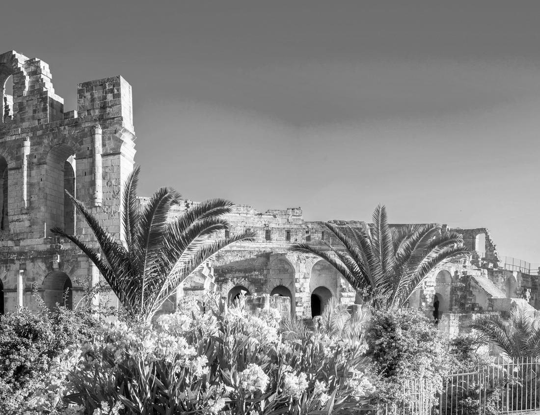 Noah Jigsaw Puzzle Friedrichsplatz, the city park in winter, Mannheim, Germany in black white 1000 pieces