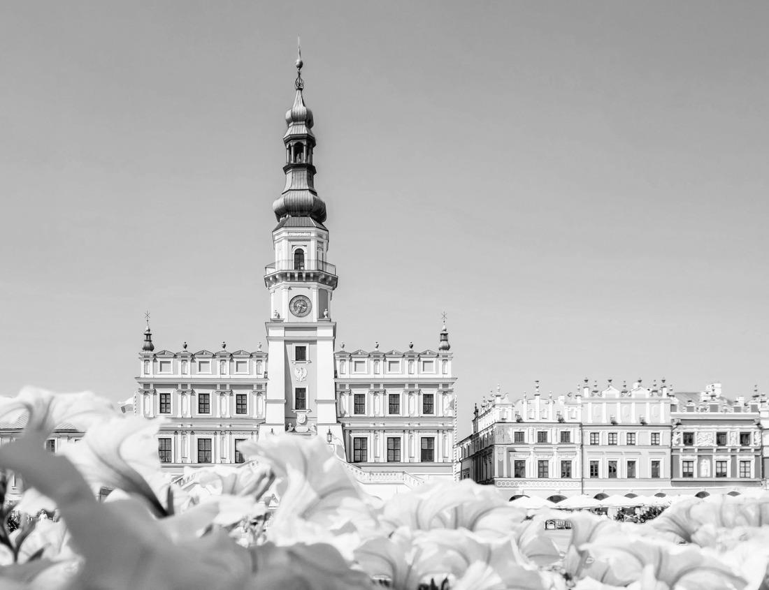 Noah Jigsaw Puzzle Amsterdam Sunset City skyline on the canal, Amsterdam, Netherlands in black white 1000 pieces