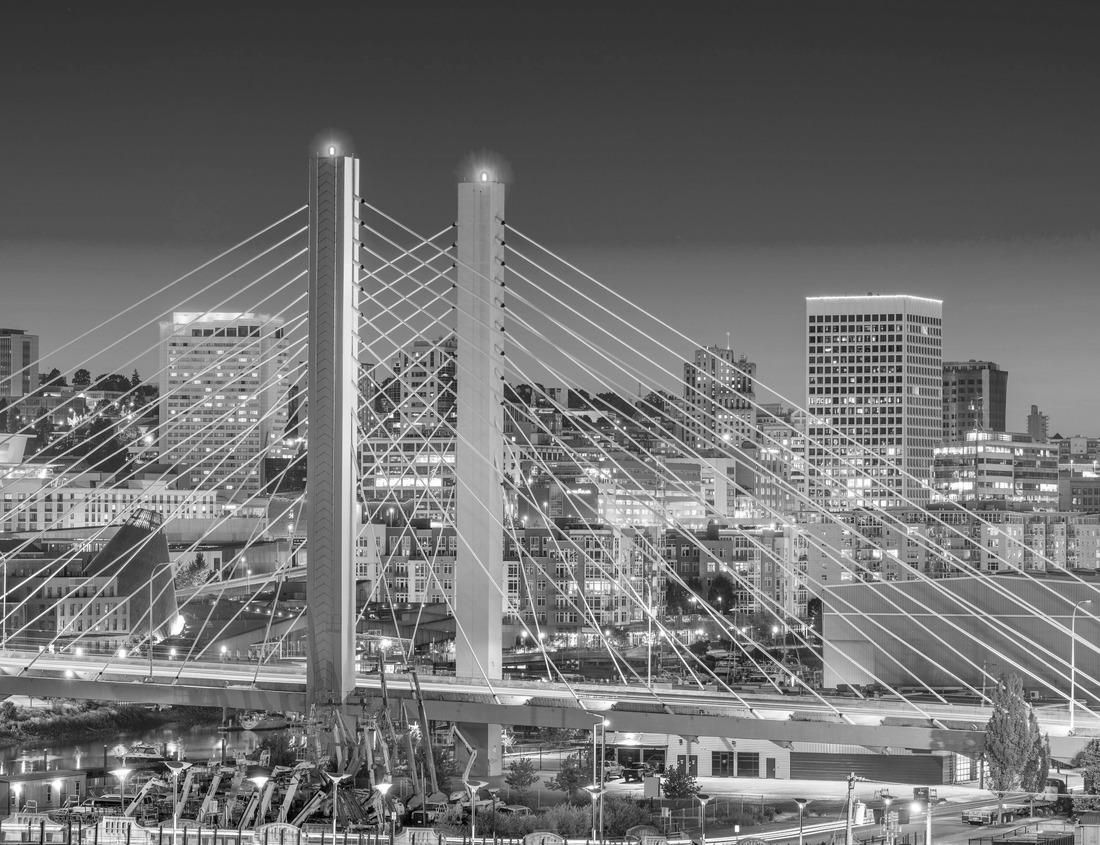 Noah Jigsaw Puzzle Hot Springs In National Park And Natural Mineral Water in black white 1000 pieces