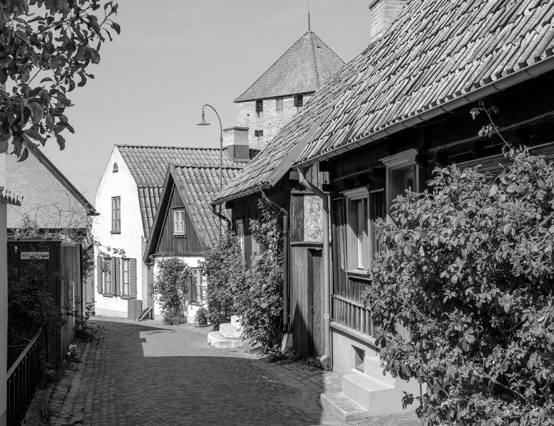 Noah Jigsaw Puzzle Castle, Schadau, Switzerland in black white 1000 pieces