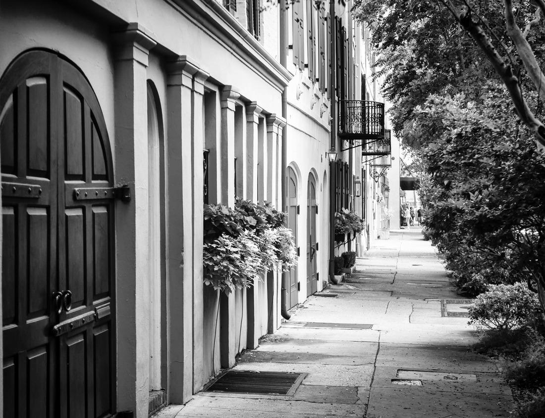 Noah Jigsaw Puzzle Earthworks around Yorktown Battlefield - Yorktown, VA in black white 1000 pieces