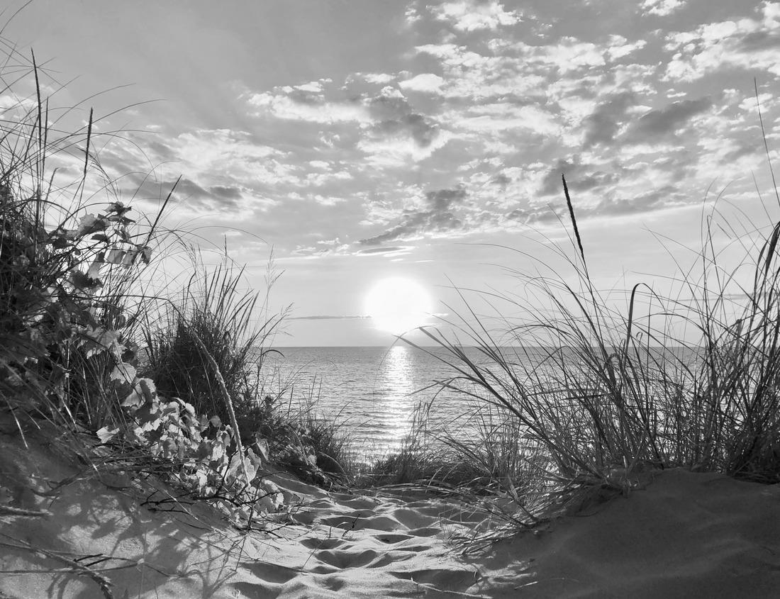 Noah Jigsaw Puzzle Freetown, the port of Sierra Leone, West Africa in black white 1000 pieces