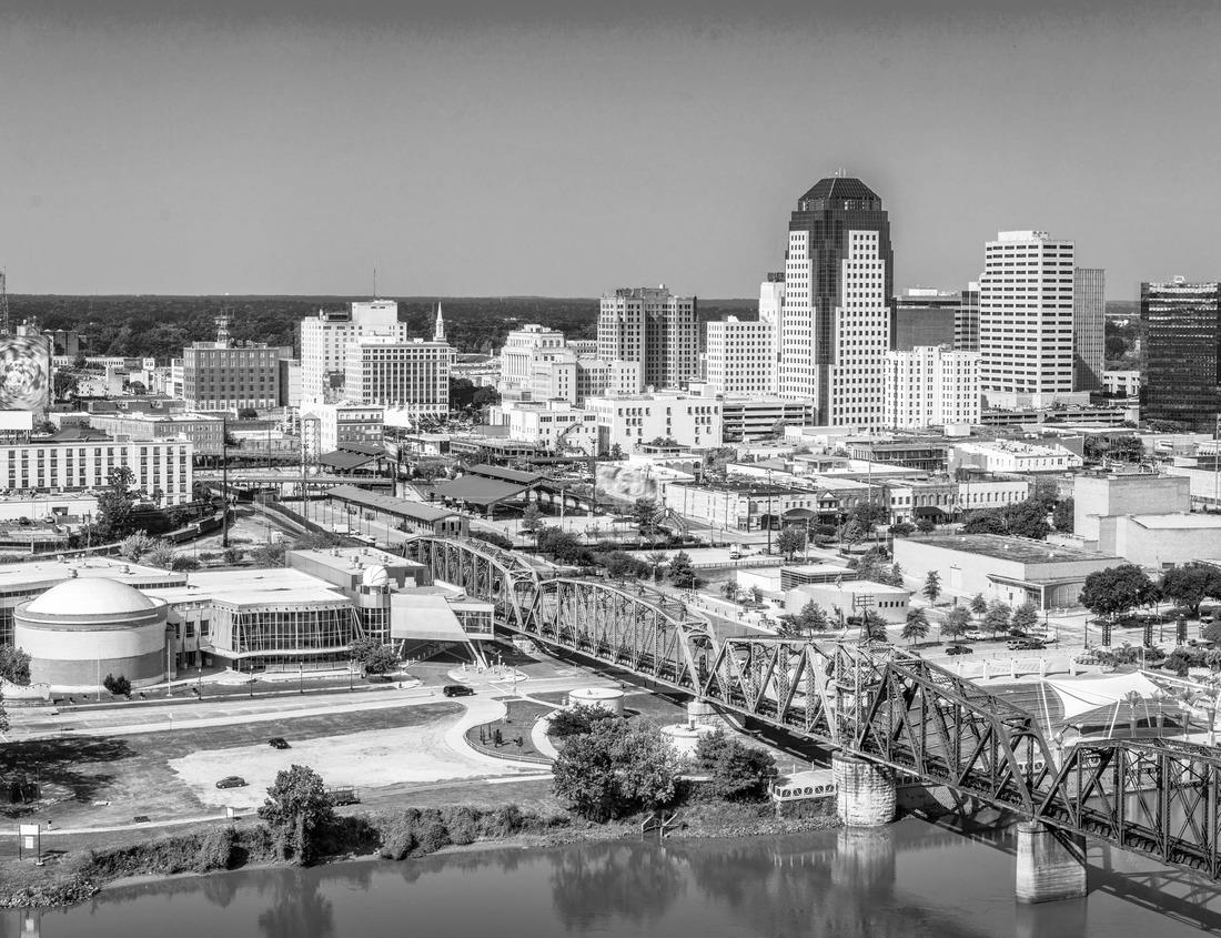 Noah Jigsaw Puzzle Gainesville, Florida, USA downtown cityscape in black white 1000 pieces