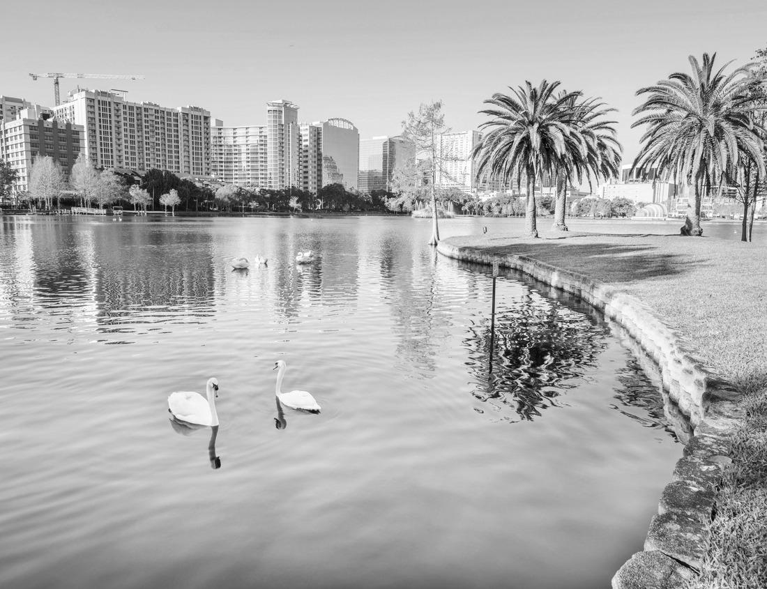 Noah Jigsaw Puzzle King's River, Kings Canyon, California in black white 1000 pieces