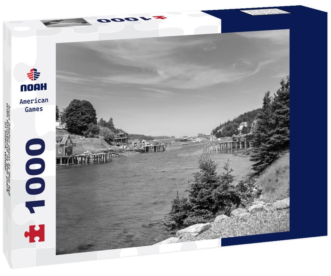 Noah Jigsaw Puzzle Icon Idaho dam in the fall with fountains in the park in black white 1000 pieces