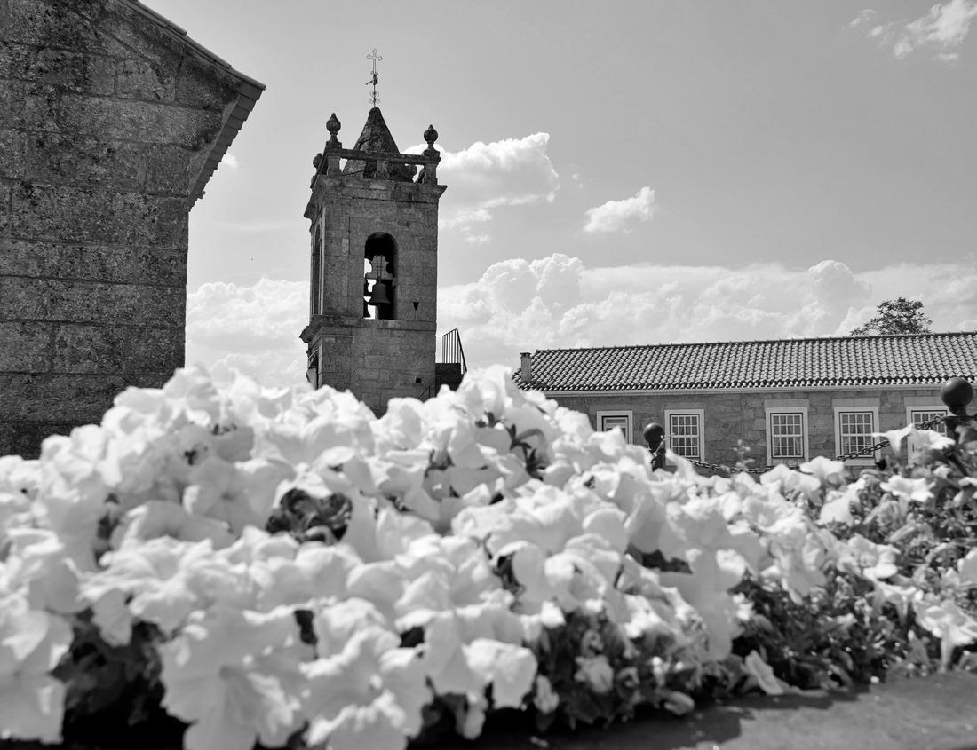 Noah Jigsaw Puzzle Grand Teton National Park, Wyoming, United States of America in black white 1000 pieces