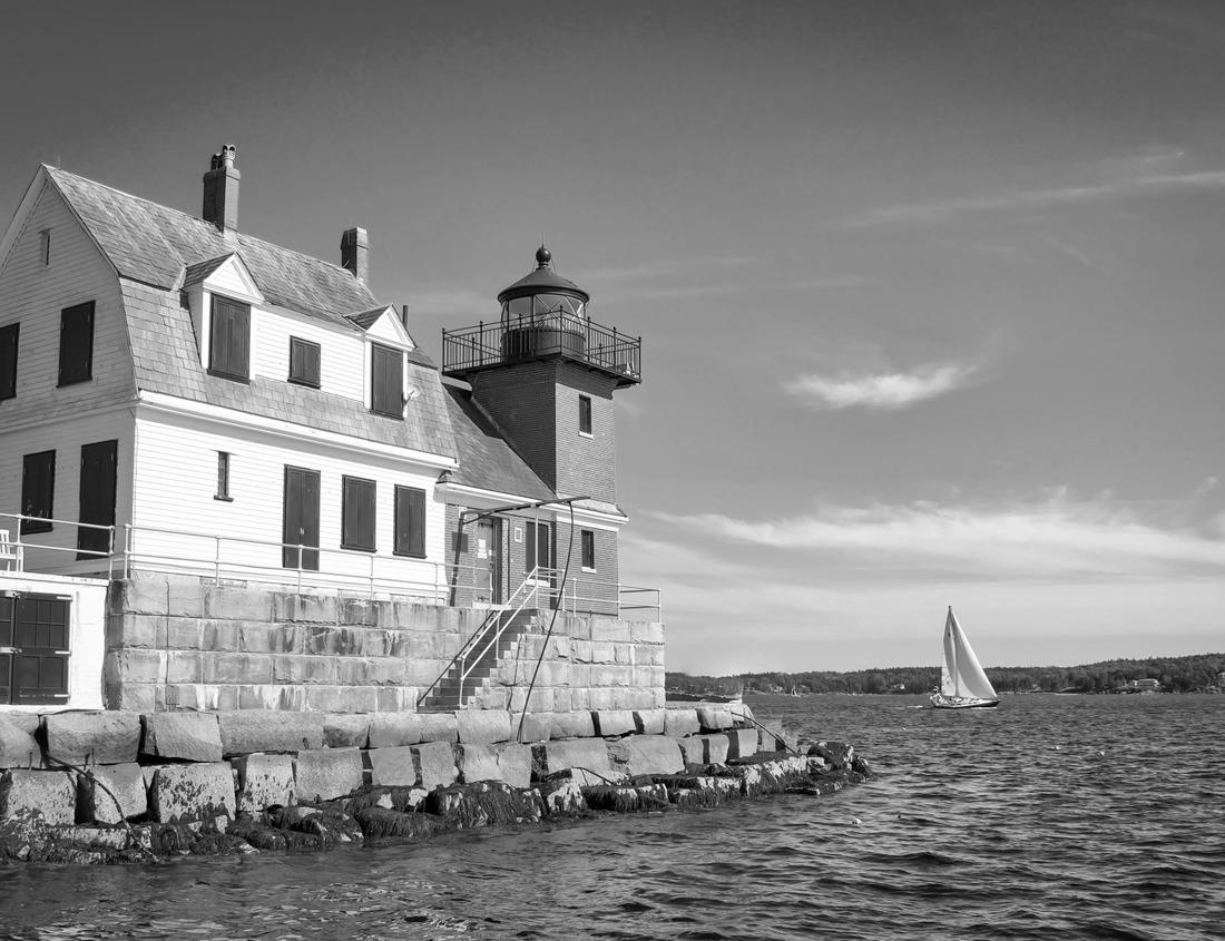 Noah Jigsaw Puzzle Cathedral in Mexico City in black white 1000 pieces