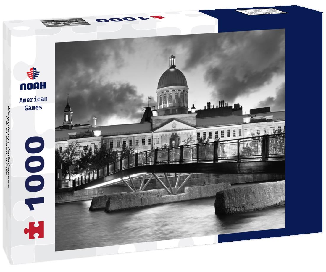 Noah Jigsaw Puzzle Downtown Tallahassee FL in black white 1000 pieces