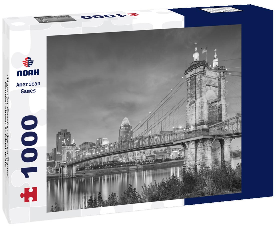 Noah Jigsaw Puzzle Slope Car Passing Sakura Tunnel, Sendai, Japan in black white 1000 pieces