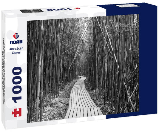 Noah Jigsaw Puzzle An aerial view of Baltimore's Inner Harbor at sunrise on a cold December morning in black white 1000 pieces