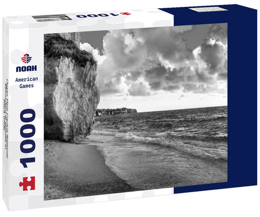 Noah Jigsaw Puzzle Organ Pipe Cactus National Monument at sunrise in black white 1000 pieces