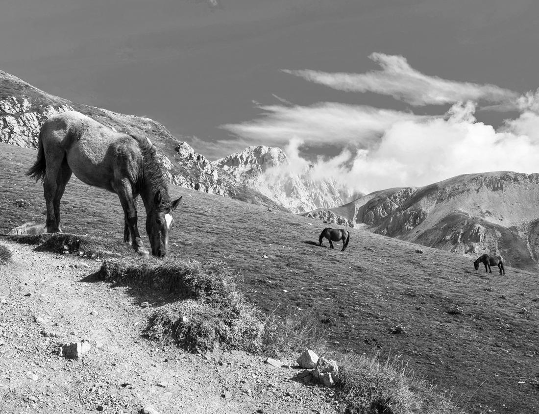 Noah Jigsaw Puzzle Devil's Slide sheer cliffs and Pacific Ocean coast in San Mateo County California in black white 1000 pieces
