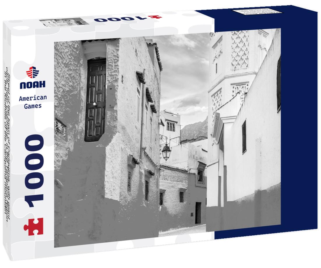 Noah Jigsaw Puzzle Street of the town of Cariquima, with giant cacti, near Colchane, in the Tarapaca region, in the foothills of the Cariquima mountain, northern Chile in black white 1000 pieces