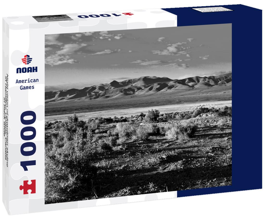 Noah Jigsaw Puzzle Night vision of downtown skyline in Hamilton, Ontario, Canada in black white 1000 pieces