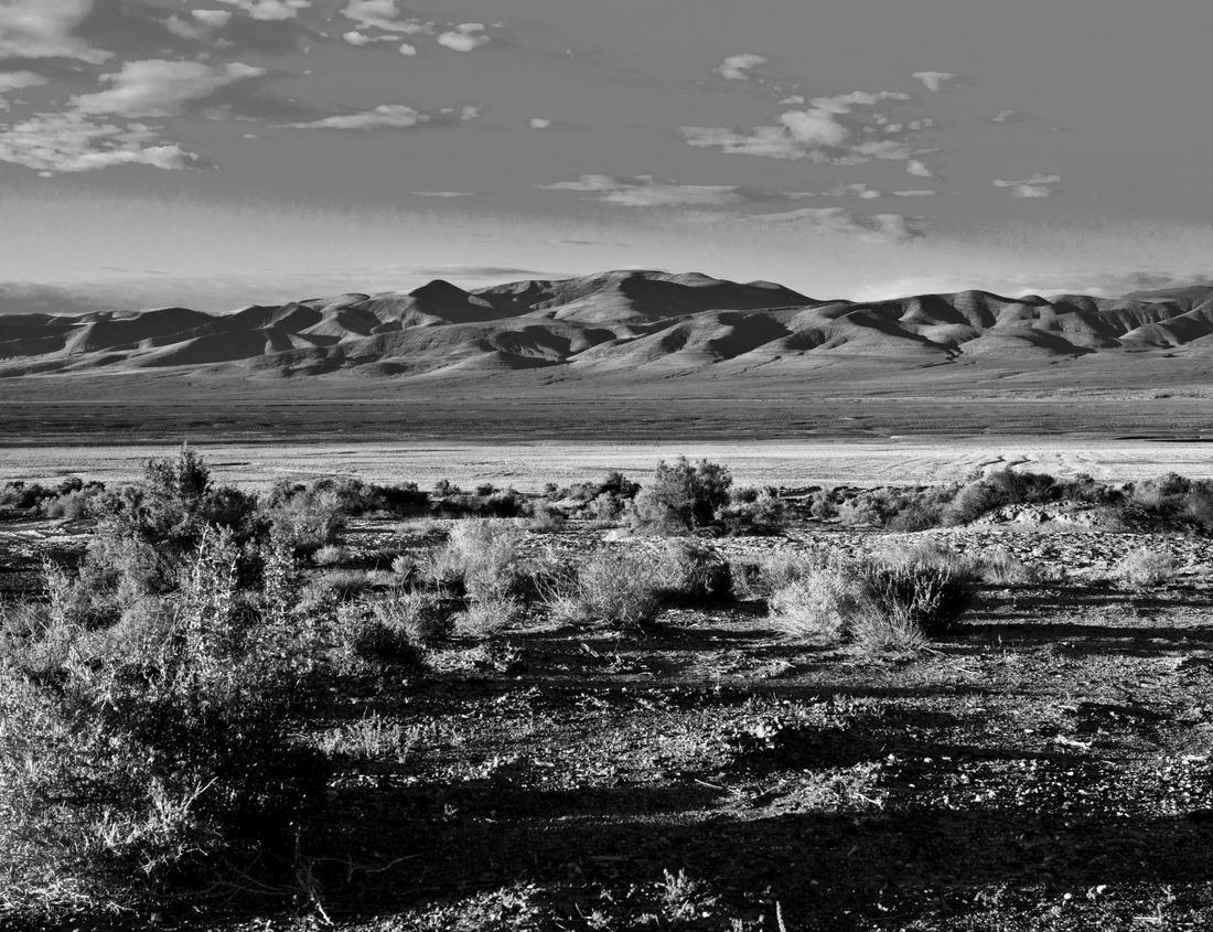 Noah Jigsaw Puzzle Night vision of downtown skyline in Hamilton, Ontario, Canada in black white 1000 pieces