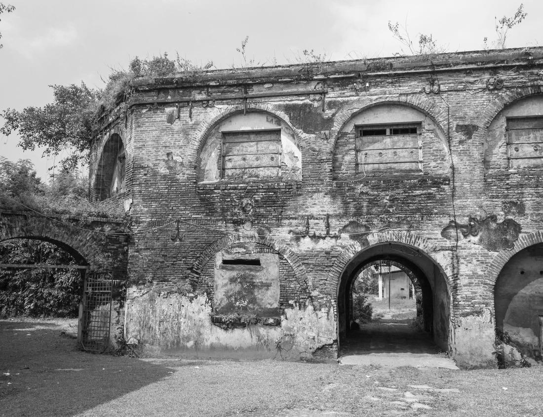 Noah Jigsaw Puzzle Florida wetland, Airboat ride at Everglades National Park in USA. Popular place for tourists, wild nature and animals in black white 1000 pieces
