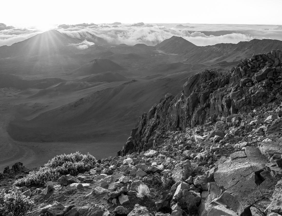 Noah Jigsaw Puzzle Aerial view of the colorful houses in Bosa village, Sardinia, Italy in black white 1000 pieces