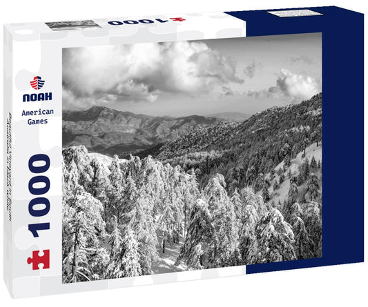 Noah Jigsaw Puzzle Beautiful Vineyard in South Australia in black white 1000 pieces