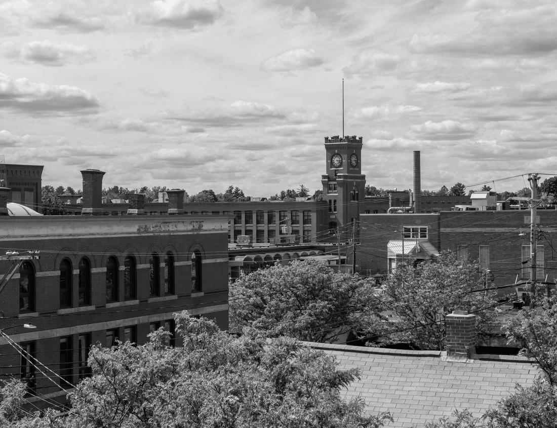 Noah Jigsaw Puzzle Cherry blossoms in Japanese garden in Hirosaki, Aomori in black white 1000 pieces